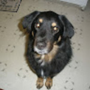 Meet your Posher, Cynthia